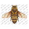 MR-2792023163933-bee-png-sublimation-design-bee-png-bee-clipart-hand-drawn-image-1.jpg