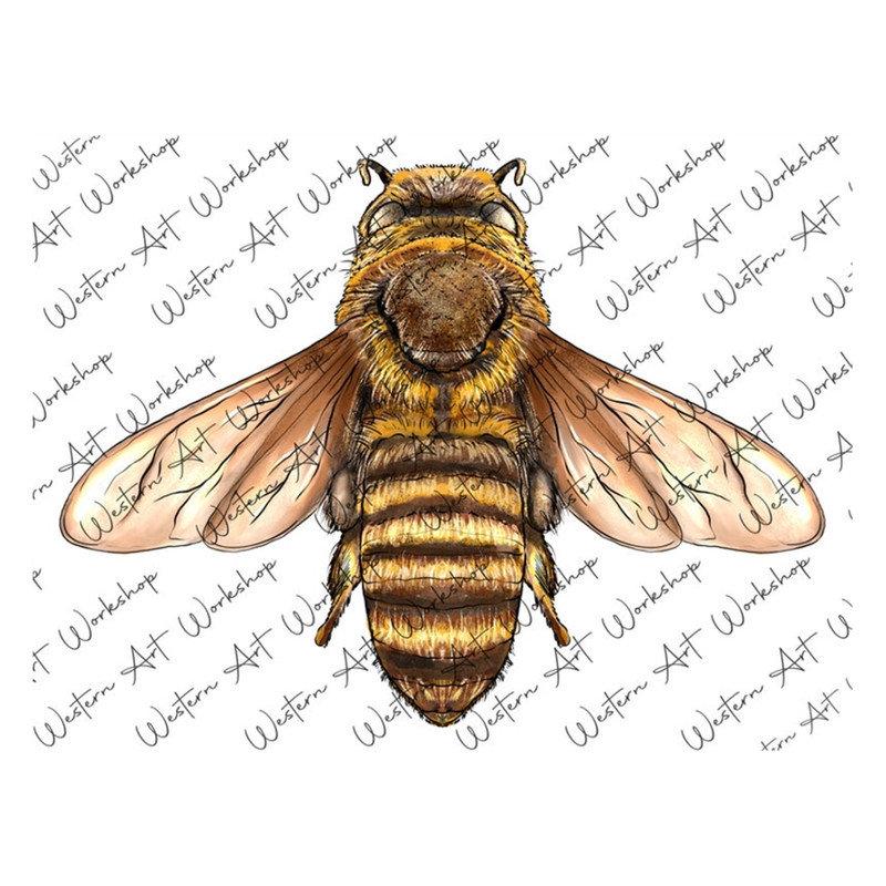 MR-2792023163933-bee-png-sublimation-design-bee-png-bee-clipart-hand-drawn-image-1.jpg