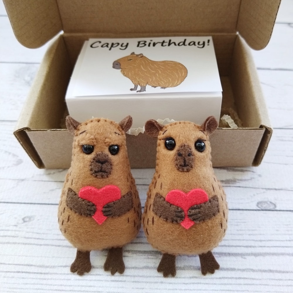 capybara-gift