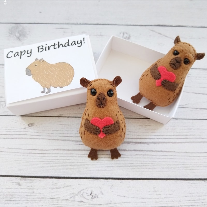 capybara-pocket-hug-in-a-box