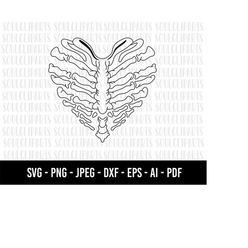 MR-2792023231411-cod253-heart-rib-cage-svg-human-skeleton-svg-heart-image-1.jpg