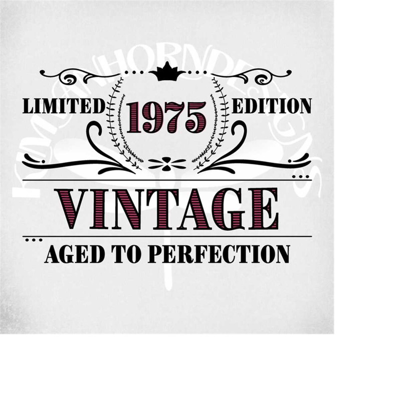 MR-289202303949-vintage-1975-svg-limited-edition-svg-birthday-svg-svg-image-1.jpg