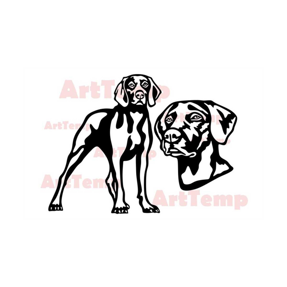 MR-2892023103446-weimaraner-svg-dog-dxf-cut-file-pet-svg-for-cricut-dxf-for-image-1.jpg