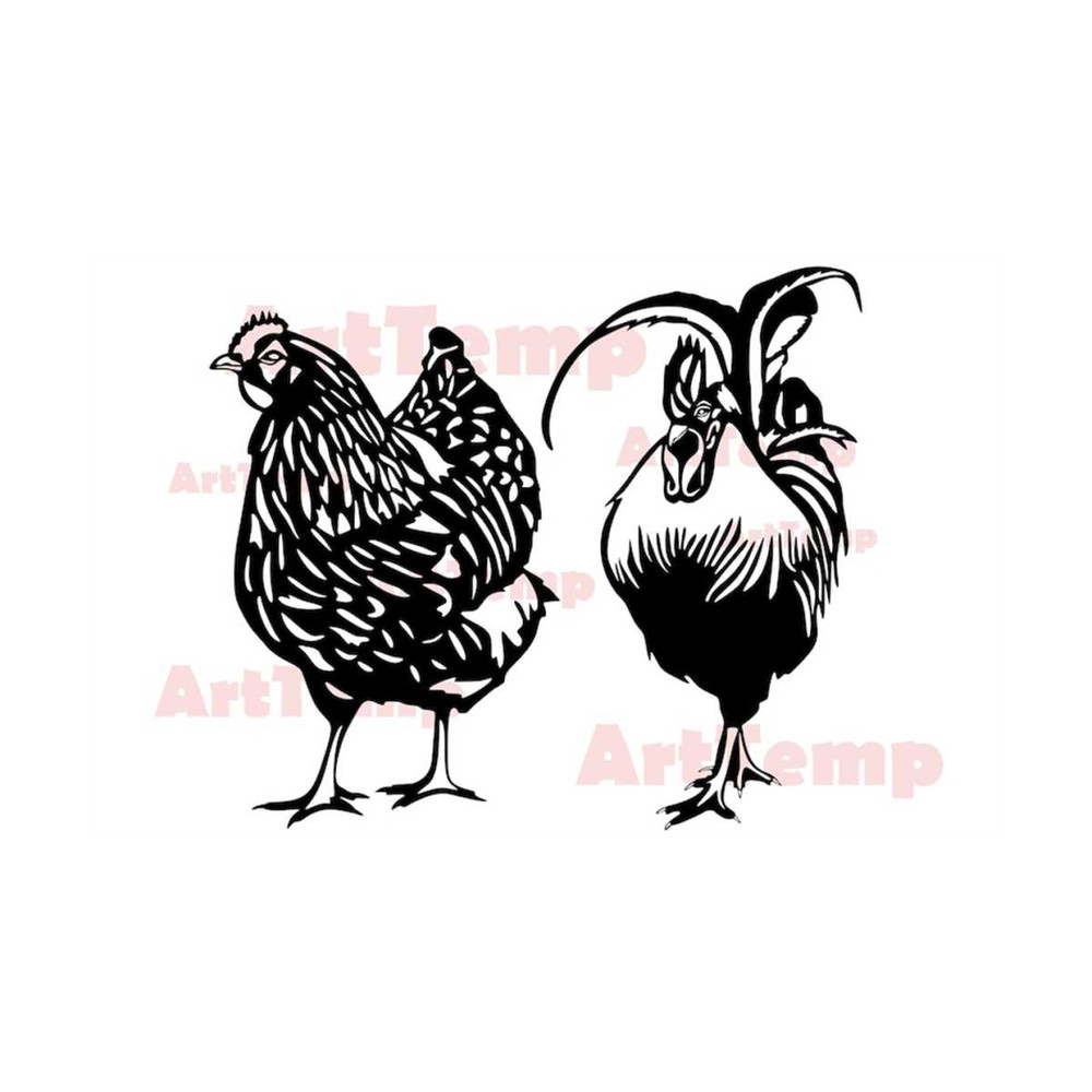 MR-289202311230-chicken-svg-rooster-silhouette-dxf-peeking-svg-for-cricut-image-1.jpg
