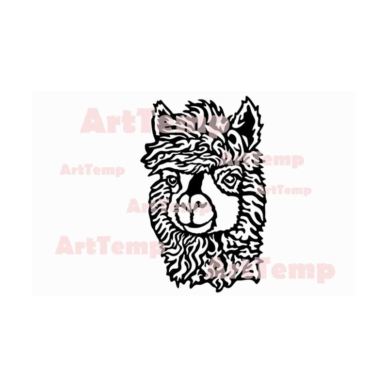 MR-289202311440-sweet-alpaca-svg-t-shirt-files-llama-svg-cricut-cut-files-image-1.jpg