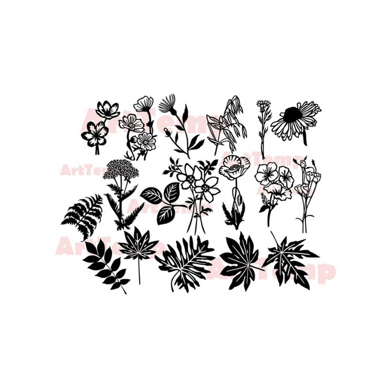MR-28920231163-herbarium-svg-wildflowers-svg-floral-svg-silhouettes-dxf-image-1.jpg
