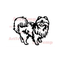 pomeranian svg, silhouettes dxf, dog svg for cricut, pomeranian clipart, laser cut vector model, iron on, vinyl shirt sh