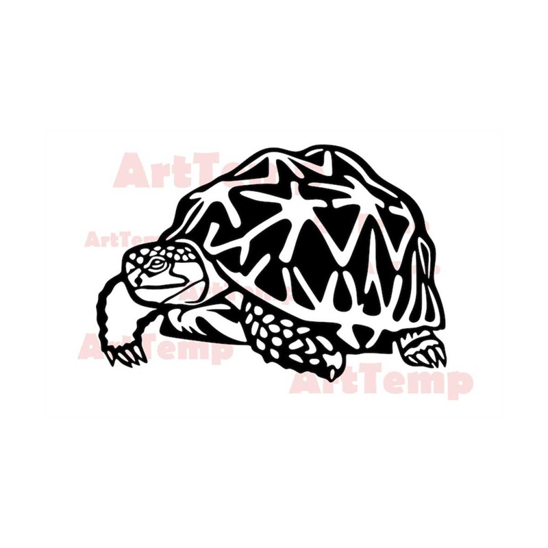 MR-2892023114418-turtle-svg-turtle-clipart-svg-cut-file-svg-for-cricut-dxf-image-1.jpg