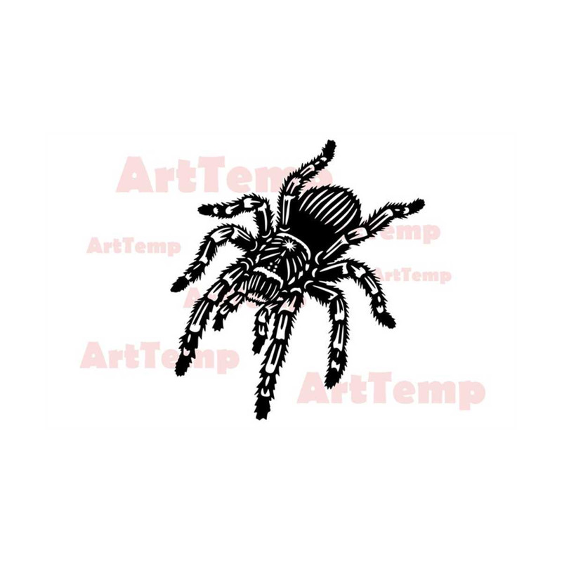 MR-2892023141730-spider-svg-spider-tarantula-svg-spider-web-svg-cut-file-svg-image-1.jpg