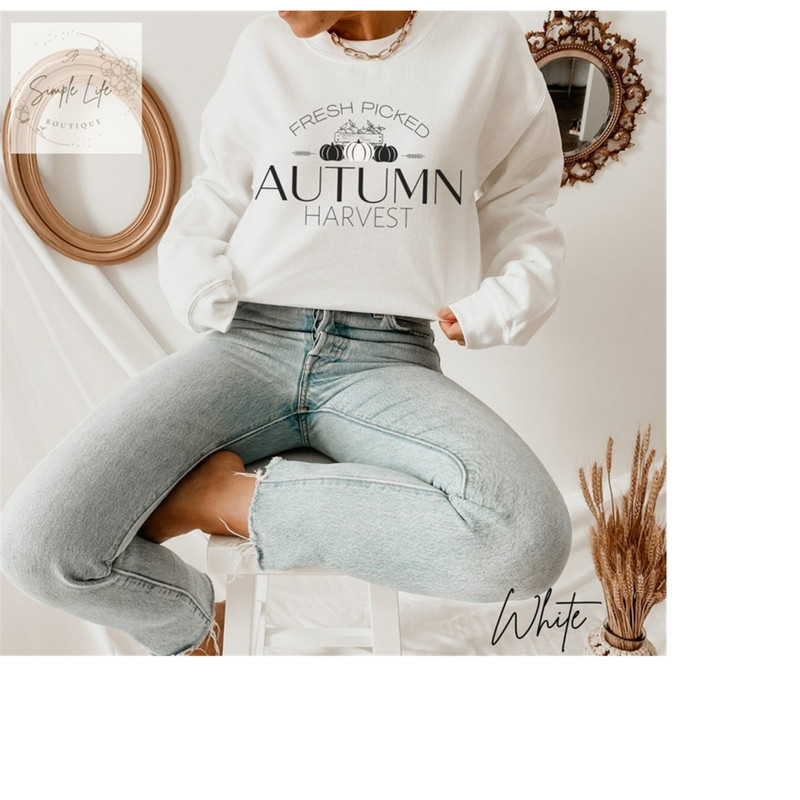 MR-2892023142725-autumn-harvest-sweatshirt-fall-crewneck-pumpkin-sweater-white.jpg