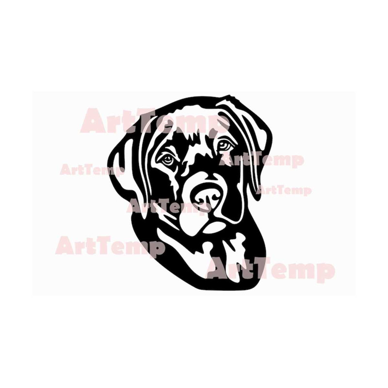 MR-289202314462-labrador-svg-dog-dxf-cut-file-vector-svg-for-cricut-image-1.jpg