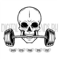 Skull Barbell Svg, Body Builder Svg, Body building skull svg, Fitness Svg, Bodybuilding Svg, Weightlifting Svg, Workout