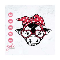 cow with bandana svg | cow svg | cow face svg | cow head svg | farm svg | heifer svg | cute cow face svg | cow with hear