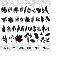 leaves svg, jungle leaves svg, palm jungle svg, monstera, fall leaves, SVG, ai, pdf, eps, svg, dxf, png