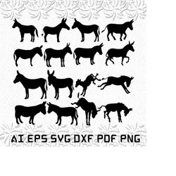 Donkey svg, Donkeys svg, Animal svg, Animals, meme, SVG, ai, pdf, eps, svg, dxf, png