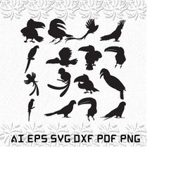 Quetzal Bird svg, Quetzal Birds svg, Love svg, Bird, Quetzal, SVG, ai, pdf, eps, svg, dxf, png