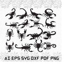 Scorpion svg, Scorpions svg, Drape svg, Rap, MK, SVG, ai, pdf, eps, svg, dxf, png