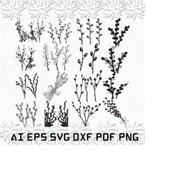 Pussy Willow svg, Pussy svg, Willows svg, flower, flowers, SVG, ai, pdf, eps, svg, dxf, png