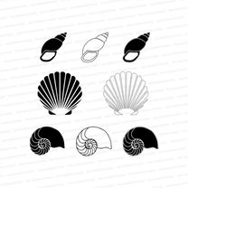 sea shells / vectored sea shell designs / shell cutter files / shells dxf / svg files for cricut / silhouette files