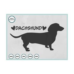 Dachshund Svg | Wiener Dog Svg | Dachshund Png | Dachshund Clipart | Dog Lover Svg | Doxie Svg | Dachshund Vector | Dach