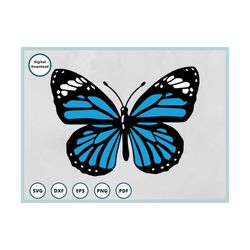 butterfly svg | spring svg | butterlies svg | cricut maker svg | butterfly png | butterfly stencil | butterfly svg in ca