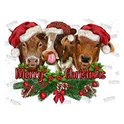 merry christmas cows sublimation design,christmas heifers png ,merry christmas png,christmas animal png,western heifers