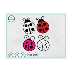 ladybug svg | lady bug svg | bugs svg | gardening svg | ladybug png | nature svg | summer svg | spring svg | svg files f