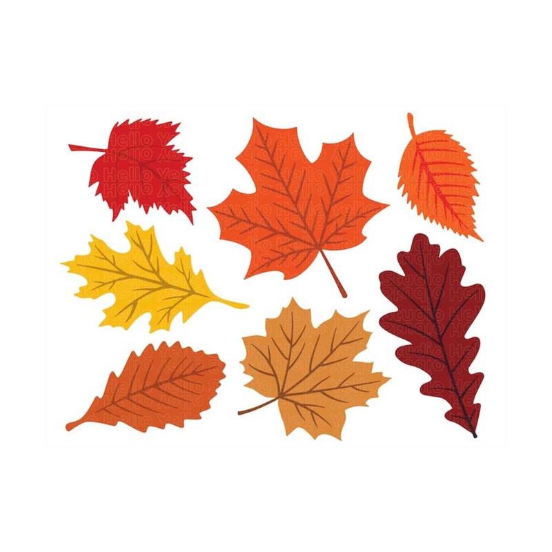 MR-299202311587-fall-leaves-svg-fall-svg-fall-leaf-svg-bundle-fall-png-image-1.jpg