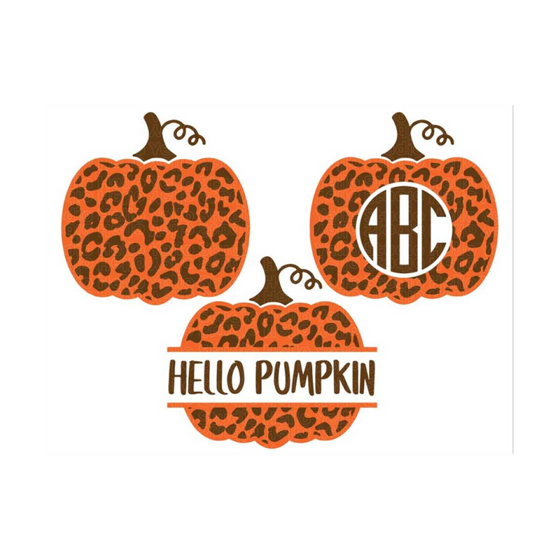 MR-2992023121015-leopard-pumpkin-monogram-svg-bundle-pumpkin-svg-fall-svg-image-1.jpg