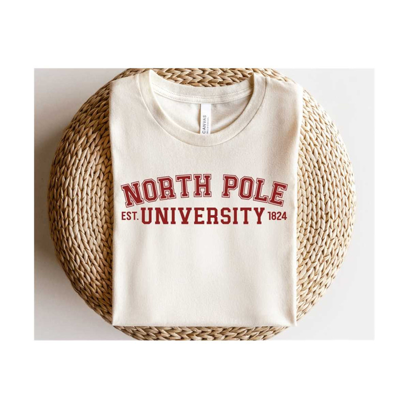 MR-299202313178-a-design-with-funny-christmas-design-a-digital-file-can-be-used-as-a-cutting-file-or-printable-it-is-great-for-t-shirts-mugs-wall-decals-iron-on