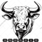 bull imv.jpg