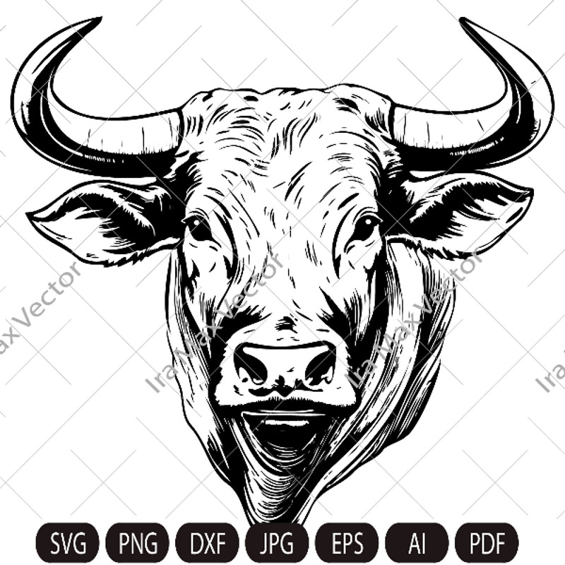 bull imv.jpg