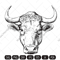 bull imv.jpg