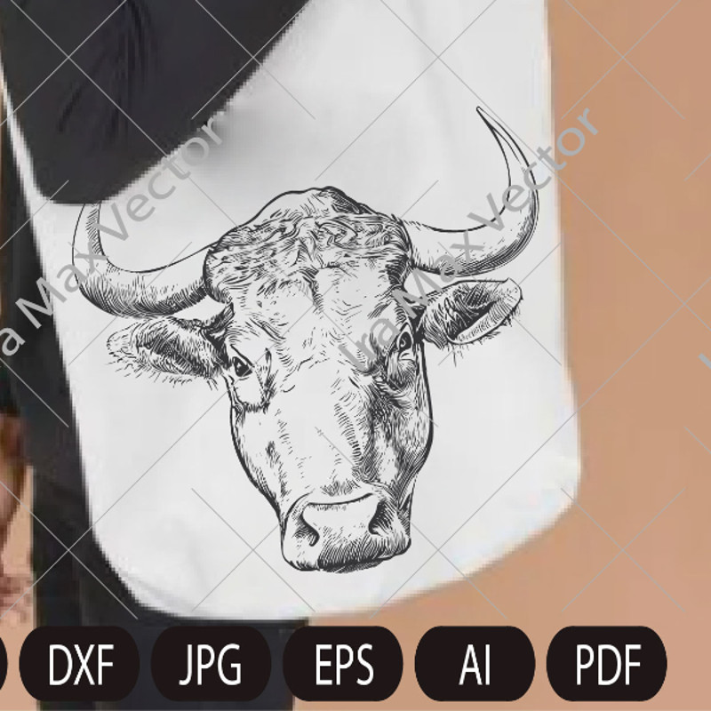 bull head.jpg