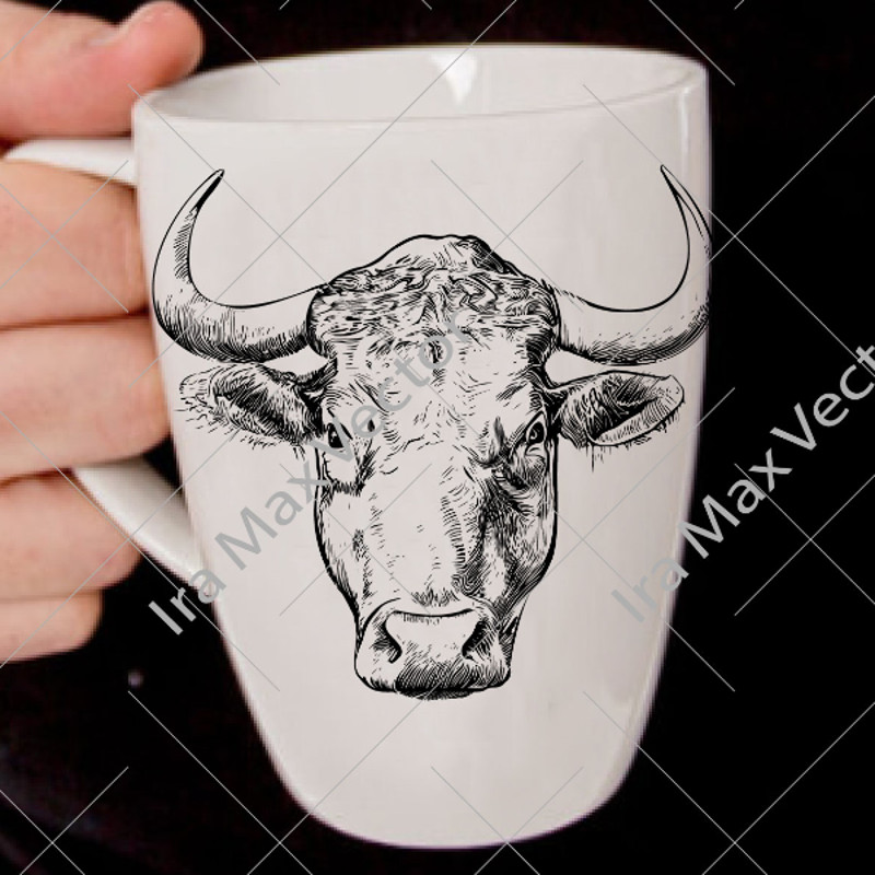 bull.jpg