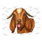 MR-2992023135458-watercolor-goat-png-western-goat-png-goat-sublimation-goat-image-1.jpg
