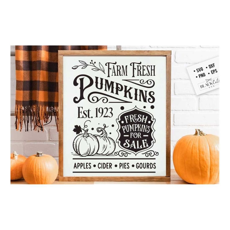 MR-299202314717-farm-fresh-pumpkins-svg-farmhouse-autumn-svg-farmhouse-fall-image-1.jpg