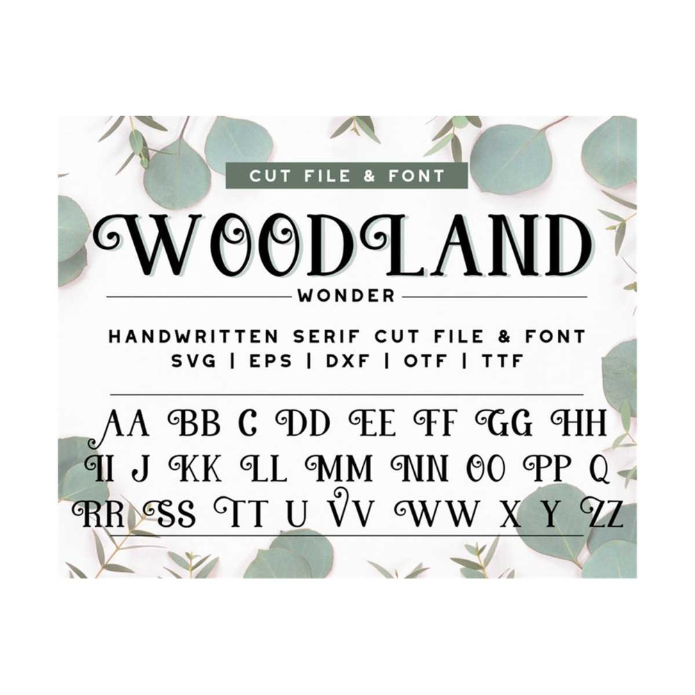 MR-299202314468-handwritten-decorative-serif-font-cricut-font-alphabet-cut-image-1.jpg