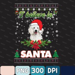 Poodle Dog I Believe In Santa Poodle Dog Png, Merry Christmas png, Christmas dog png, sublimate designs download