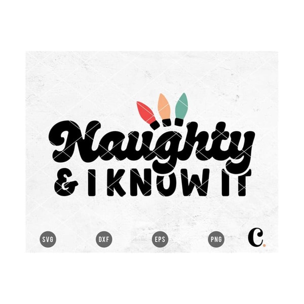 MR-299202315205-naughty-and-i-know-it-svg-cutting-file-for-cricut-cameo-image-1.jpg