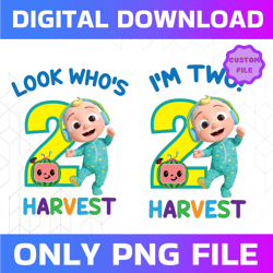 personalized cocomelon birthday png, cocomelon png, watermelon, cocomelon birthday boy / girl png, cocomelon only png