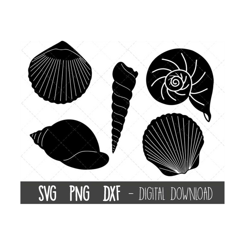 Sea shell SVG bundle, seashell svg, shell svg, seashell PNG, | Inspire ...