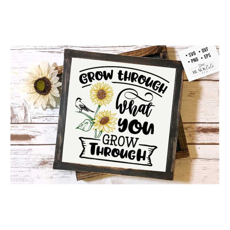 MR-299202317551-grow-through-what-you-go-through-svg-sunflower-svg-sunflower-image-1.jpg