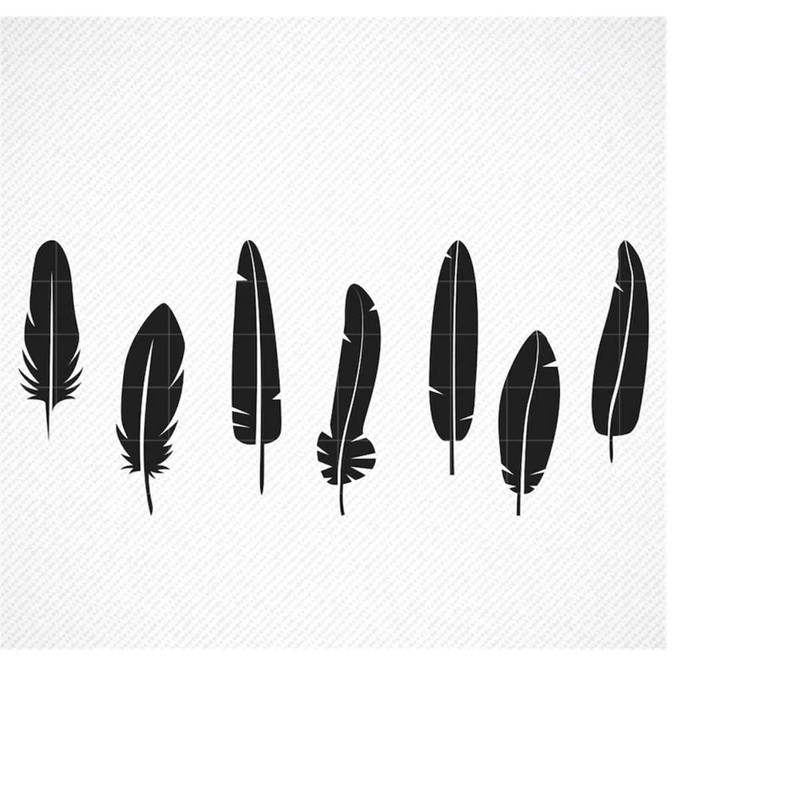 MR-299202318306-feather-svg-feathers-svg-feather-clipart-cricut-feather-image-1.jpg