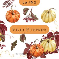 Watercolor fall pumpkin clipart, autumn harvest PNG arrangements clip art for thanksgiving