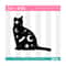 MR-2992023232857-mystic-cat-svg-halloween-tumbler-svg-cute-halloween-svg-image-1.jpg