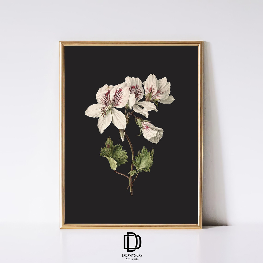 Dark Botanical Art Print, Artful Botanical Artprint, Vintage Botanical Wall Art, White Flower Print, Moody Flower Poster, Digital Download.jpg