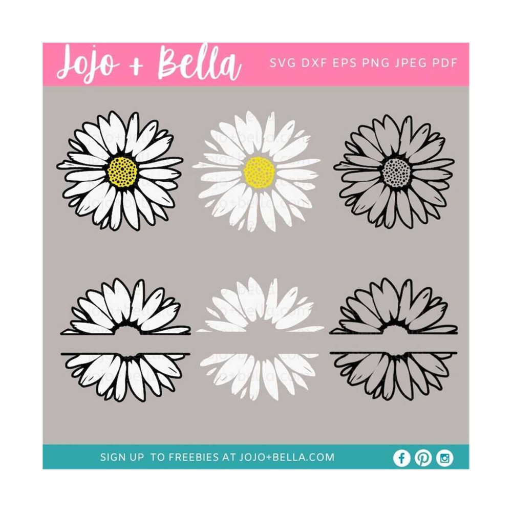 MR-309202323254-daisy-svg-daisy-svg-bundle-daisy-split-monogram-svg-daisy-image-1.jpg