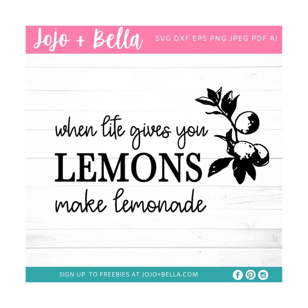 MR-309202325158-when-life-gives-you-lemons-make-lemonade-svg-farmhouse-svg-image-1.jpg