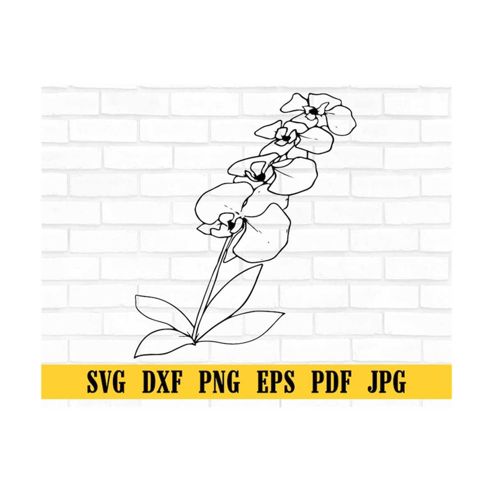 MR-309202382225-branch-of-orchids-flowersorchid-svg-orchid-clipart-orchid-image-1.jpg